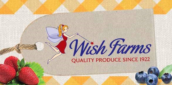 Wish Farms berries banner