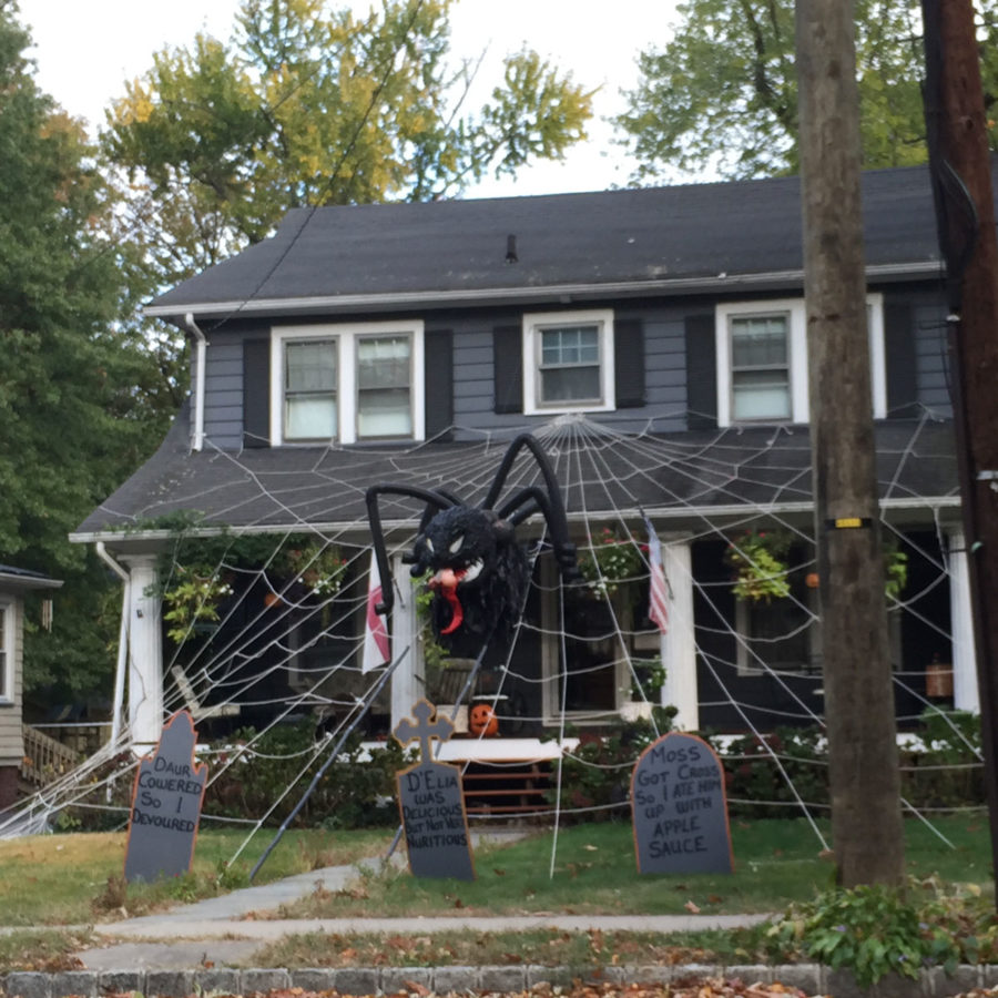 Spider decoration for Halloween